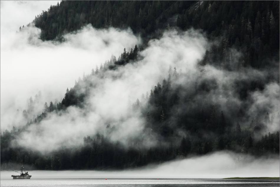 Fog and mist - 2014 © Christopher Martin