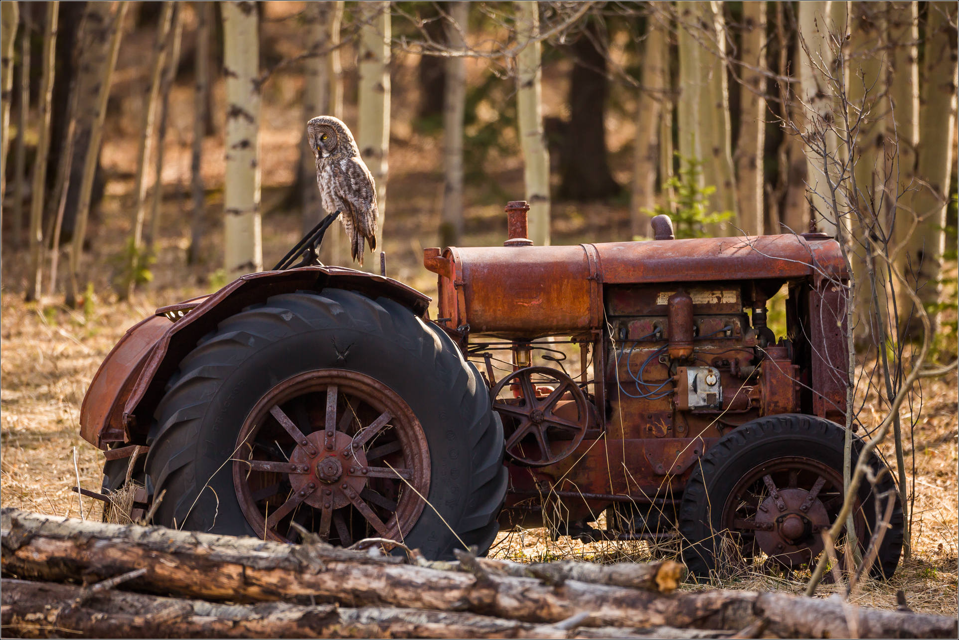 tractor | Christopher Martin Photography