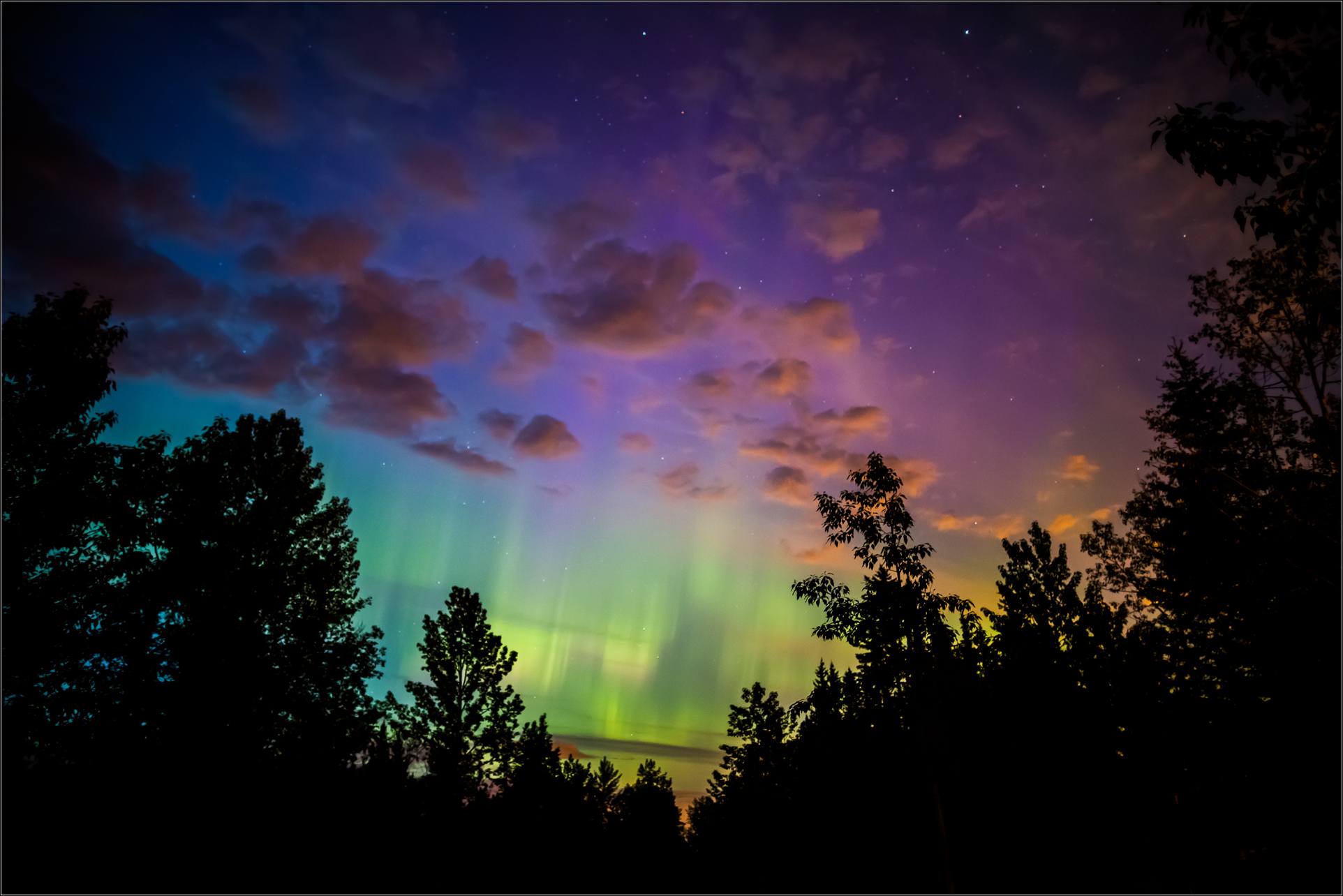 aurora borealis above the forest c2a9 christopher martin 5571