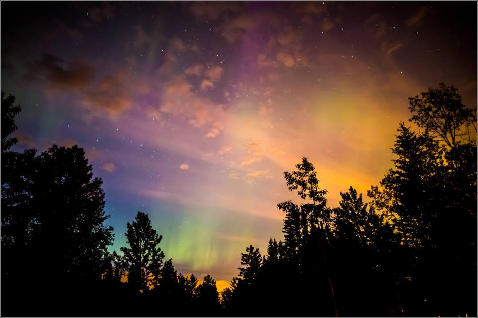 Redwood Aurora - © Christopher Martin-5643-2